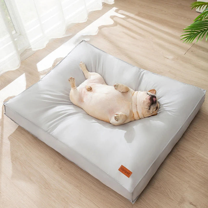 Upgrade Your Pet's Comfort with the Waterproof Dog Bed Pet Sleeping Mat!