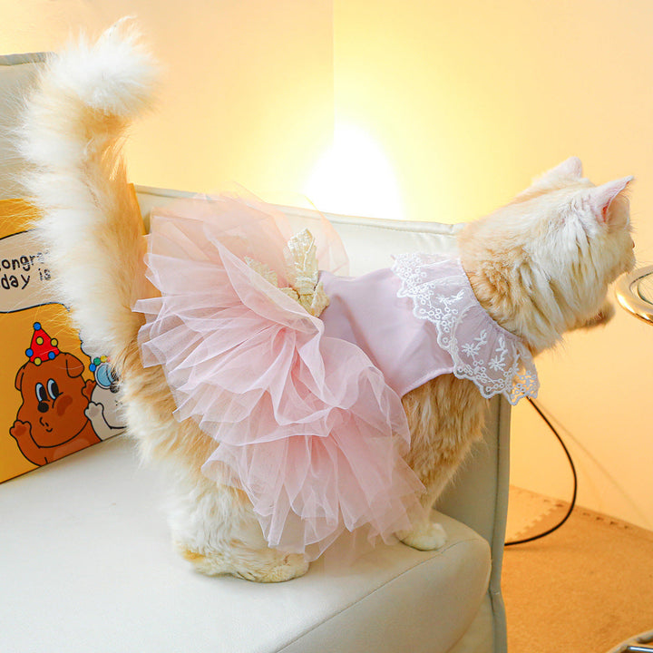 Dress Your Cat in Style: The Adorable Lace Cat Clothing