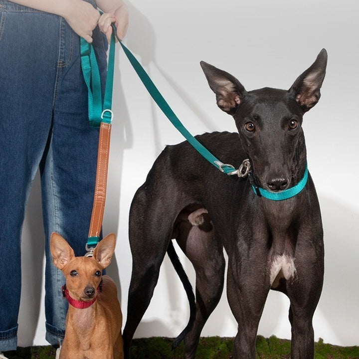 Pet Dog Traction Rope Chain Leash