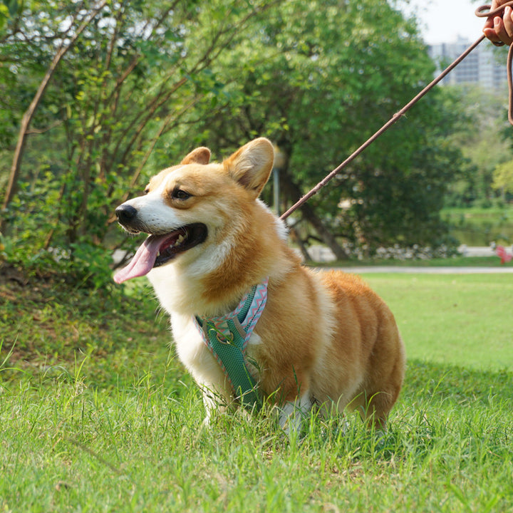 Dog Hand Holding Rope Vest Pet Harness Reflective Leash